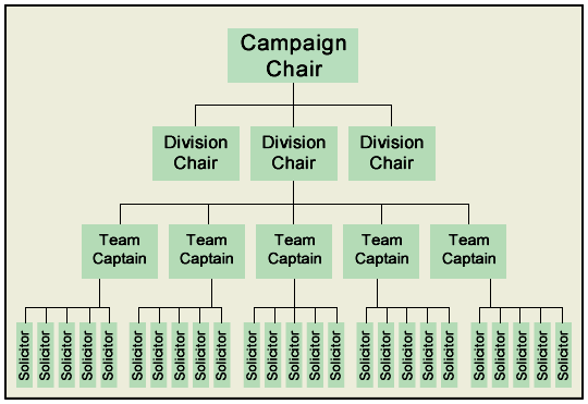 Capital Campaign Organizational Chart